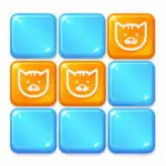 Brain Train Puzzle Game: Stunning Best Brain Challenge