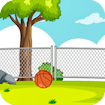 Basketball Challenge: Stunning Best Online Game