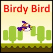 Birdy Bird: Stunning Best Sky Challenge
