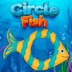 Circle Fish: Stunning, Best Underwater Adventure