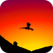 Wrathful Dragon: Stunning Best Aerial Conquest