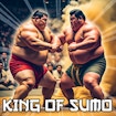 King Of Sumo: Stunning Best Championship Battle